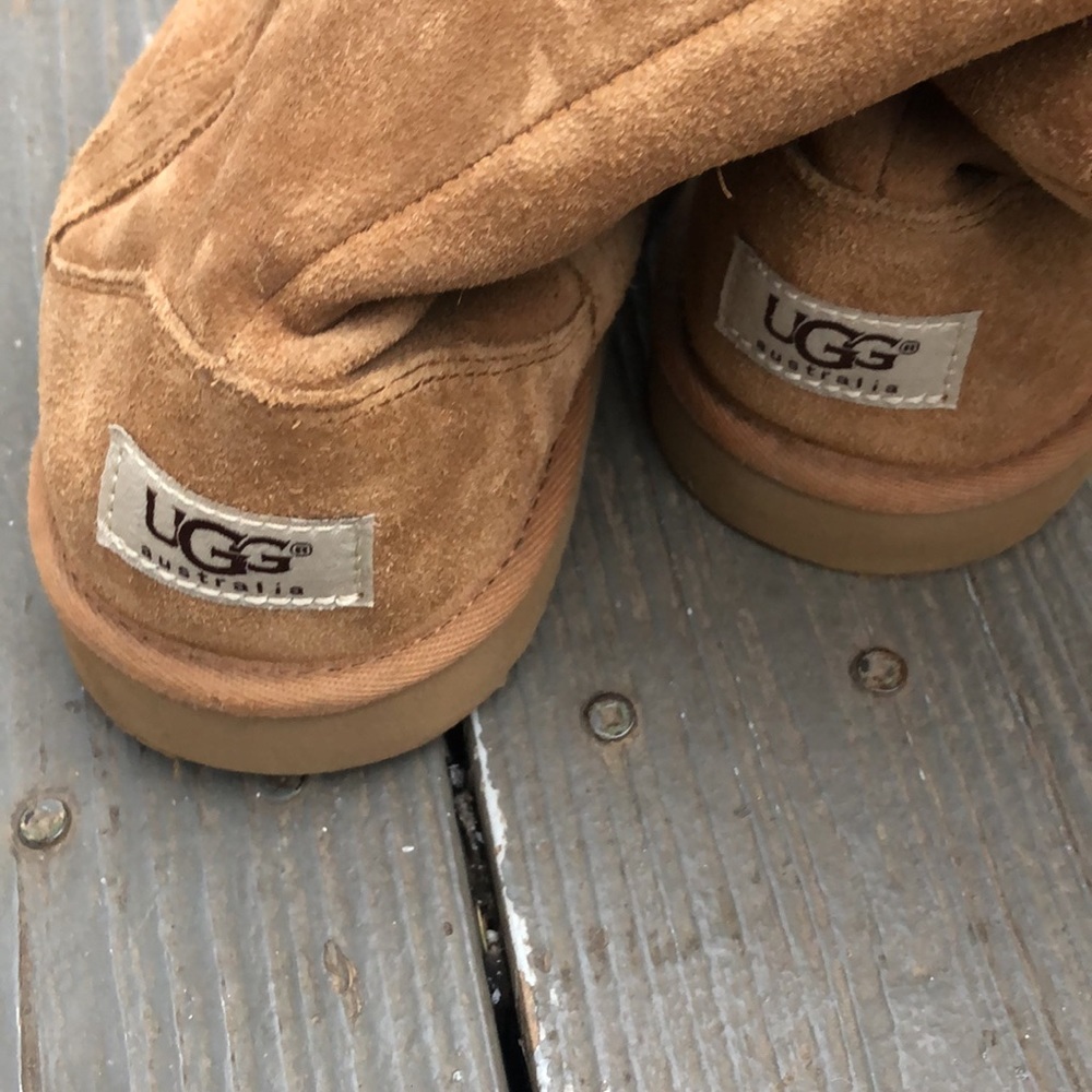 Tall Uggs Size 5 - image 4